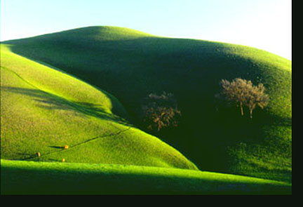 Green Rolling Hills